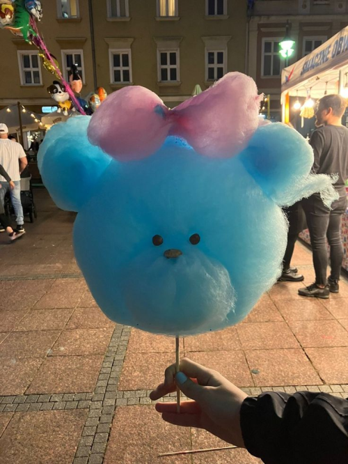 cute cotton candy bear at sugarland contact