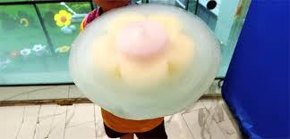 cotton candy art flowers