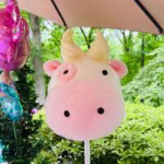  Cotton Candy in utah for Parties and Events